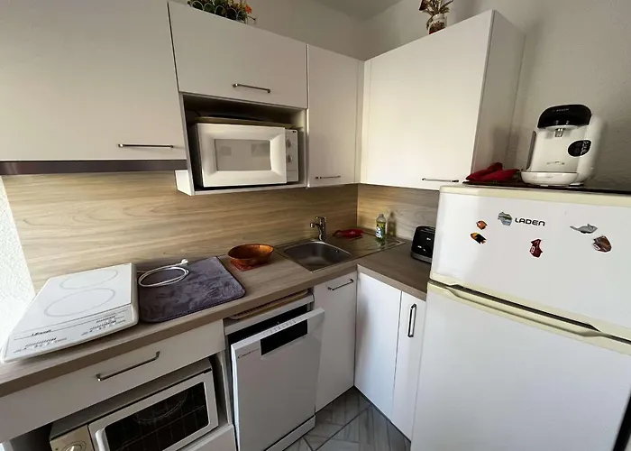 Calme T2 Climatise Avec Parking Pres Et Port - Fr-1-607-235 Апартаменты Агд